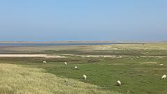Sylt (91)